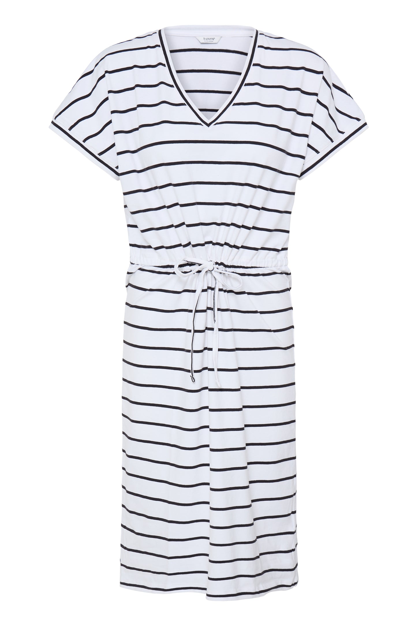 Pandinna VNeck Dress 3